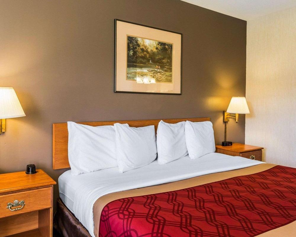 King Room - Non-Smoking interior